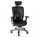 Fauteuil Cuir PRAO ACT