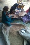 Fournisseur de Poudre de chebe en Provenance du Tchad