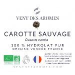 Hydrolat de Carotte Sauvage bio