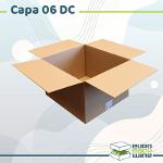 Carton Capa-06DC