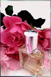 Parfum Flowerlove concentration 30% aux fleurs de Grasse