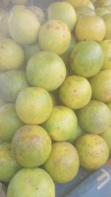 Fruits Tropicaux : Oranges, Papayes, Mangues, Bananes