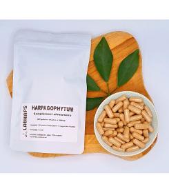 Harpagophytum 200 Gélules
