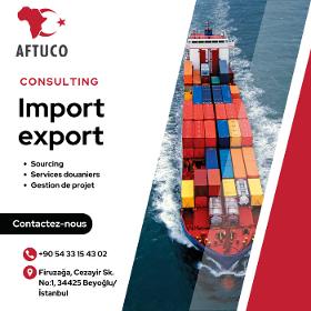 Consulting import-export