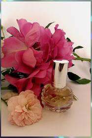 Parfum Sweetnight concentration 30% aux fleurs de Grasse