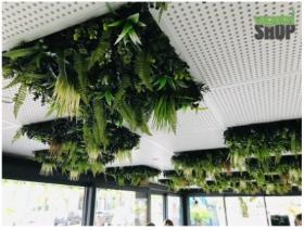 Dalles plafond végétales pour bureaux
