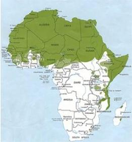 Traduction en langues africaines