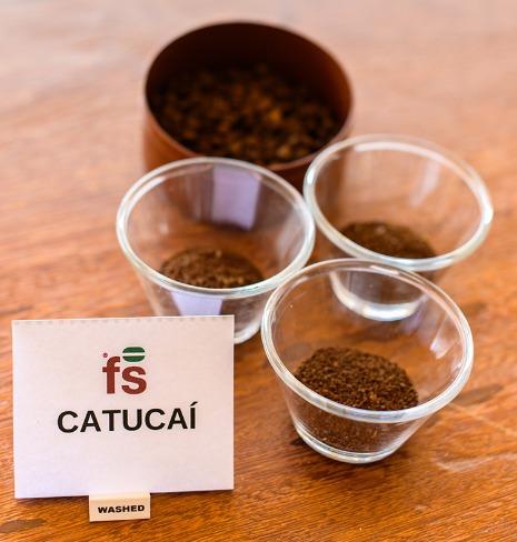 Café Catucaí