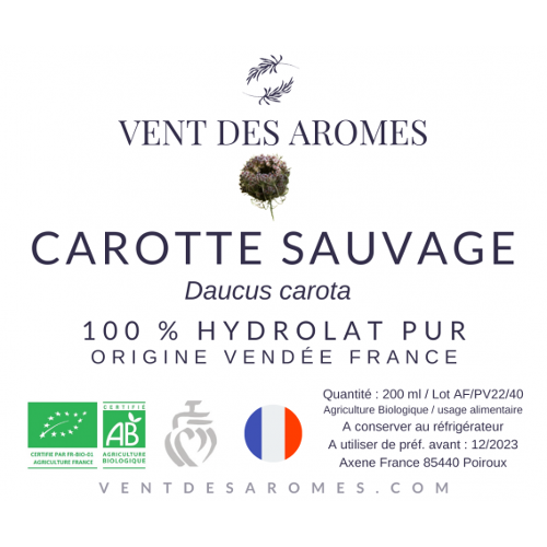 Hydrolat de Carotte Sauvage bio