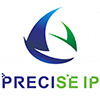 PRECISE INTELLECTUAL PROPERTY FIRM