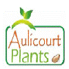 AULICOURT PLANTS