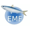 EURO MEDITARRANEE FISH
