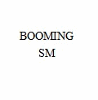 SANMEN BOOMING CO.,LTD