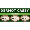 DERMOT CASEY TREE CARE