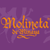AZAFRANES MOLINETA DE MINAYA