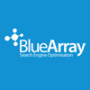 BLUE ARRAY LTD