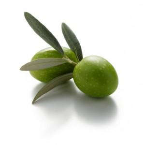 olives et huile d'olive
