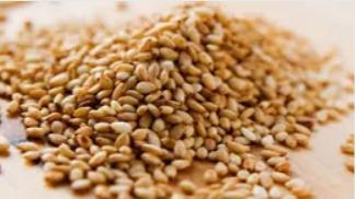 Import export de graines de sésame