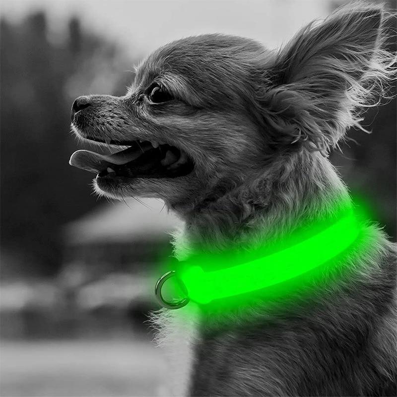 Collier lumineux réglable à LED pour chien