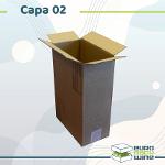 Carton Capa-02