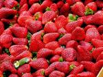 Import de fraises