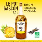 Pot Gascon 2,5L : Rhum Ananas- Vanille Bio 250cl