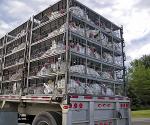 des camions de transport d'animaux vivants