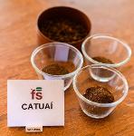 Café Vert Catuaí