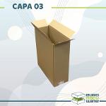 Carton Capa-03