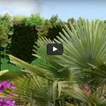 Paysagiste Clermont-ferrand : Amenagement Jardin 