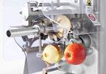 Machine de traitement des pommes