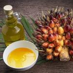 Négoce huile de palme