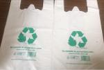 Sac déchets verts en papier neutre ou personnalisable - Tapiero