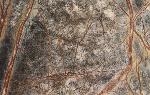 Granit Marron Rain Forest Brown
