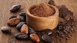 les fèves de cacao