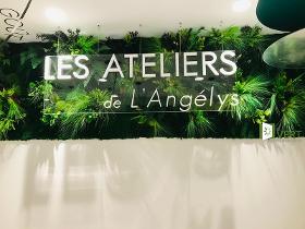 Mur végétal Paris l'atelier de l'angélys Ymotek