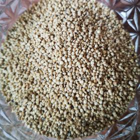 Graines de quinoa blanc
