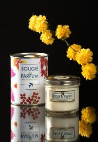 Bougie de Parfum Artisanale 125g 15 €  made in Grasse 