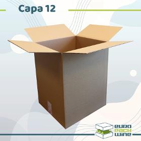 Carton Capa-12