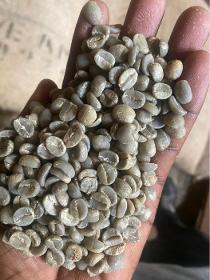 café en grains non torréfiés 100% Arabica