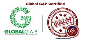 Certification Global G.A.P.