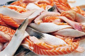 Ailerons de saumon surgelés