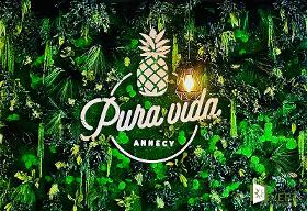 Mur végétal avec logo Pura Vida restaurant annecy