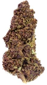 Purple / Purple Greenhouse - 10kg