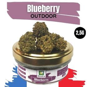 Blueberry Out Fleurs Cbd Françaises