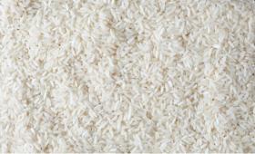 Protéines de riz
