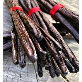 Gousses de Vanille de Madagascar - 18cm - Variété TULEAR