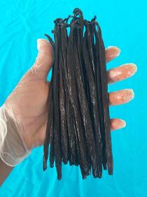 Gousse de Vanille de Martinique: Lot de 2 gousses 12 à 13 cm
