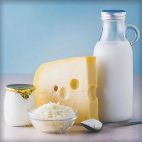 Grossiste en produits laitiers - un large choix de produits laitiers