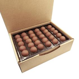 Bonbon de chocolat gianduja 870 g